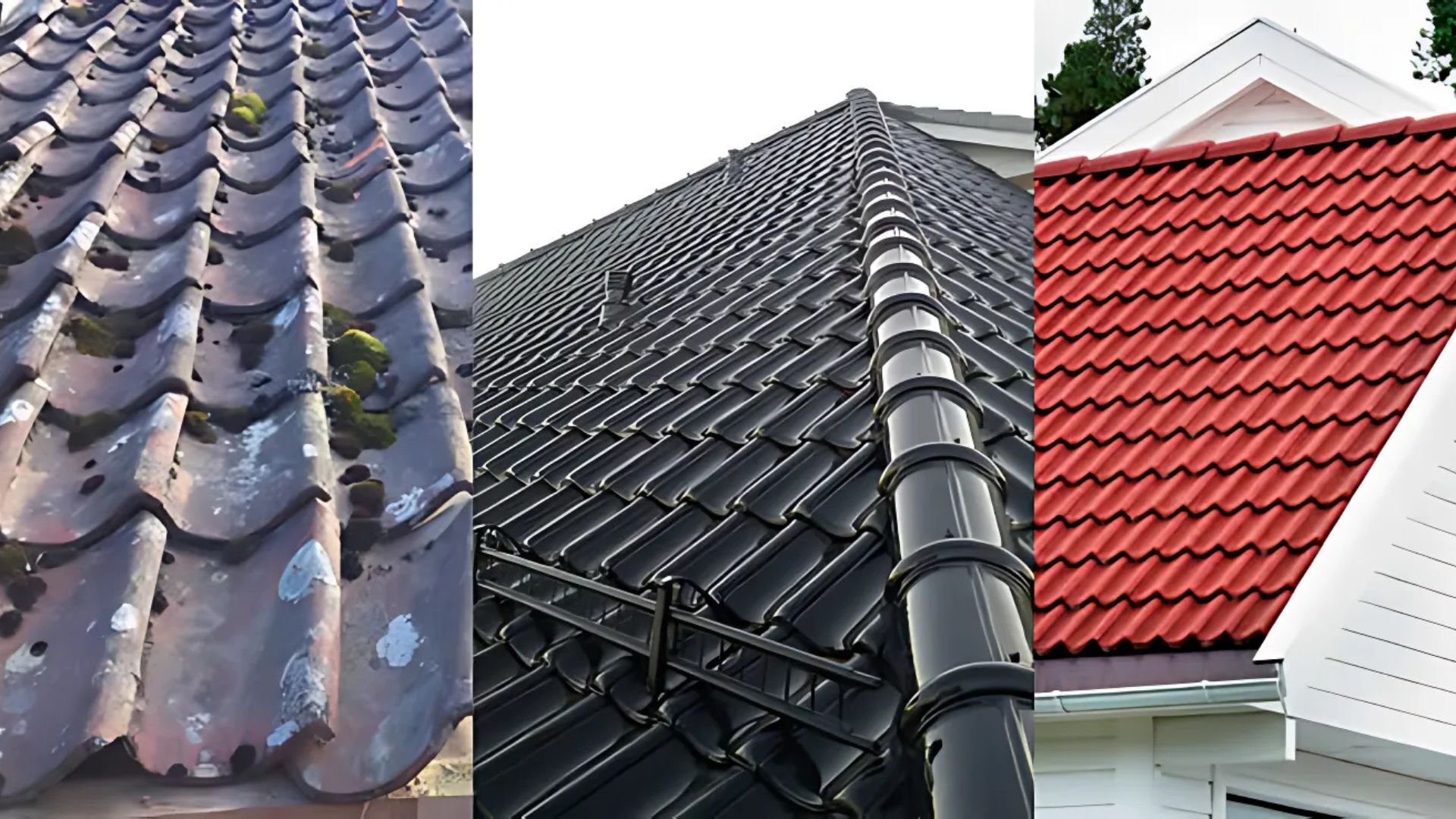 Hvorfor-Takfornying-i-Oslo